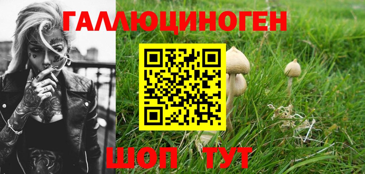 Галлюциногенные грибы мицелий Кузнецк
